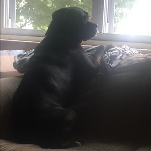 Meet your Posher, Jill